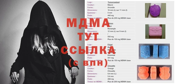 СК Алексин