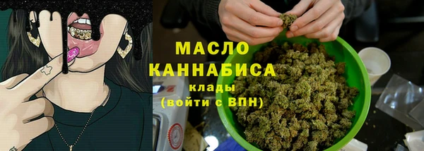 СК Алексин